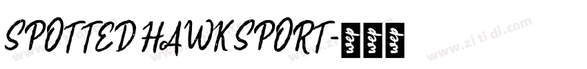 SPOTTED HAWK SPORT字体转换